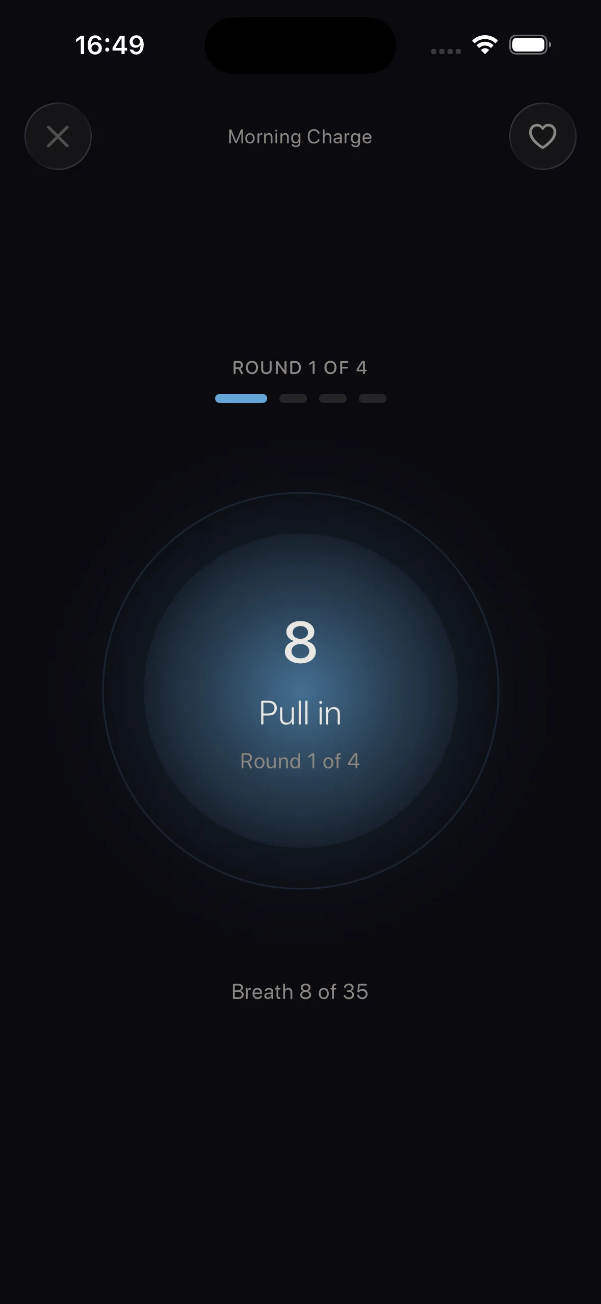 Breathwork Pacer